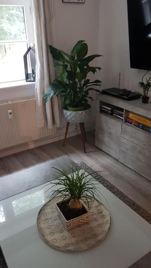 Apartament Stadtnah An Der Forde Flensburg Zewnętrze zdjęcie